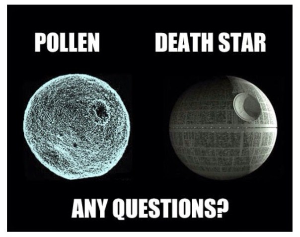 blogger-image--939053053