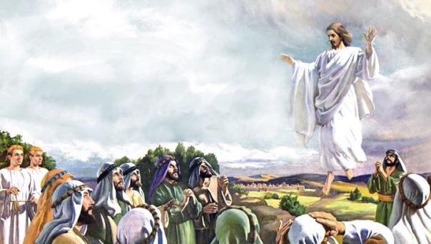 cb6db23b148d3977e815fb49a4de665a