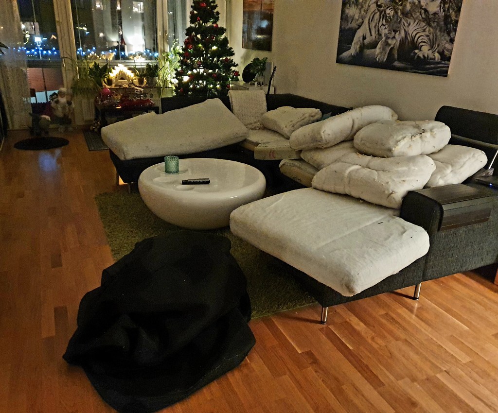 Denna bild har ett alt-attribut som är tomt. Dess filnamn är 20210102_232733.jpg